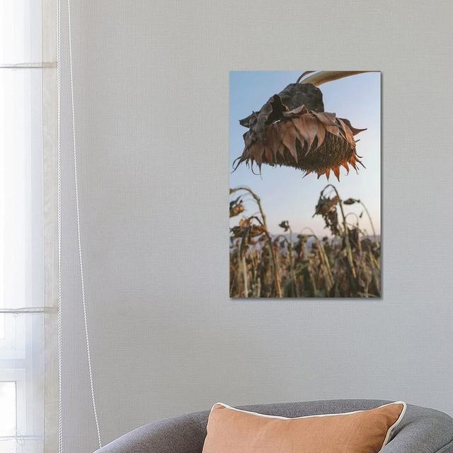 Hanging Free - Wrapped Canvas Photograph Brambly Cottage Size: 66.04cm H x 45.72cm W x 1.91cm D on Productcaster.