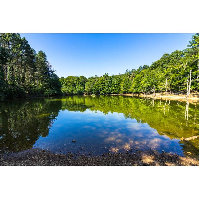 Lake In Umbra Forest - Wrapped Canvas Print Alpen Home Size: 51cm H x 76cm W x 3.8cm D on Productcaster.