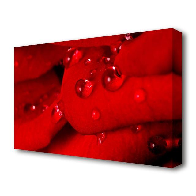 Red Petal Dew Drop Flowers Canvas Print Wall Art East Urban Home Size: 35.6 cm H x 50.8 cm W on Productcaster.