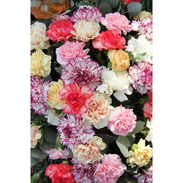 Couturier Pastel Carnations - Wrapped Canvas Photograph Latitude Run Size: 91cm H x 61cm W x 3.8cm D on Productcaster.