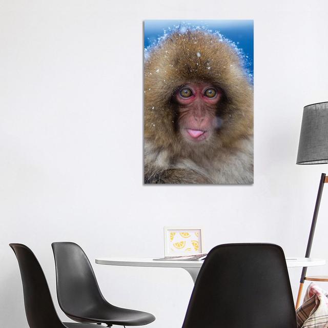 Snow Monkey Catching Snow Japan by Mogens Trolle - Wrapped Canvas Print Latitude Run Size: 101.6cm H x 66.04cm W x 3.81cm D on Productcaster.