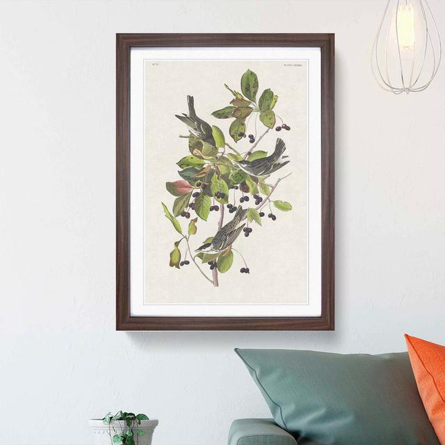 Black-Poll Warbler Birds by John James Audubon - Picture Frame Art Print East Urban Home Size: 65cm H x 48cm W x 2cm D, Frame Option: Walnut Framed on Productcaster.