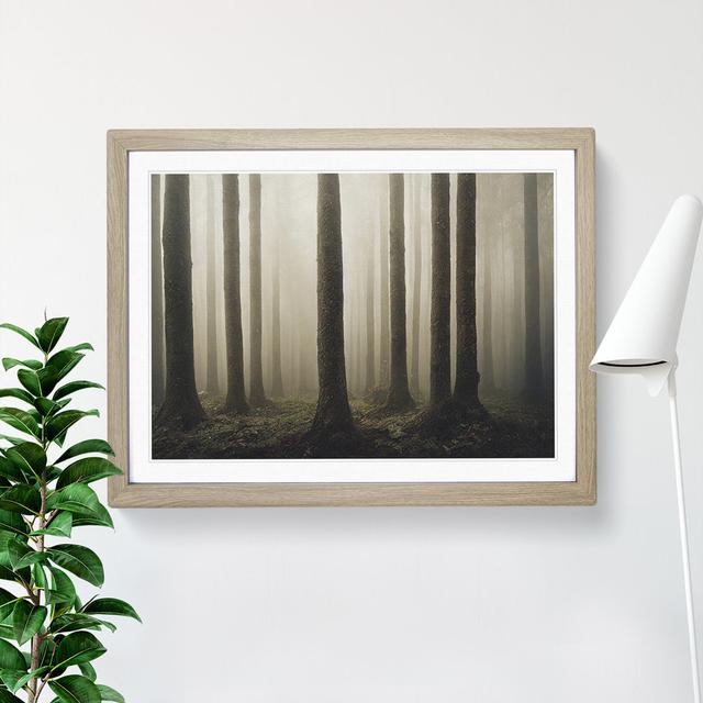 Forest Mist Vol.2 - Picture Frame Painting Alpen Home Frame Colour: Oak, Size: 34cm H x 46cm W x 2cm D on Productcaster.