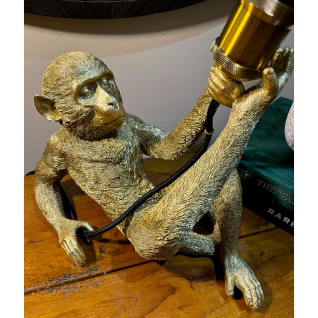 Reclining Monkey Table / Desk Lamp Happy Larry on Productcaster.