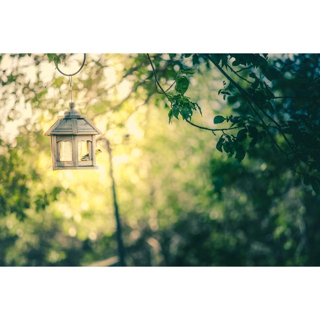 Bird Feeder And American Yellow Finch by Debibishop - No Frame Art Prints on Canvas 17 Stories Size: 61cm H x 91cm W on Productcaster.