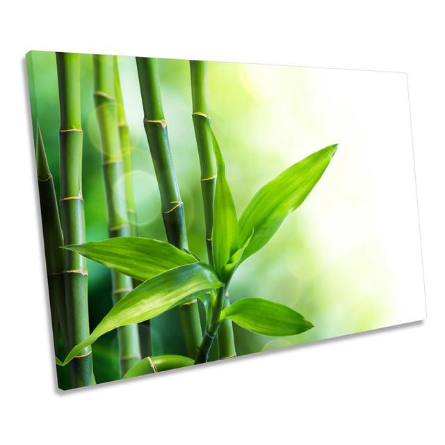 Bamboo Floral CANVAS WALL ART Picture Print Bay Isle Home Size: 40.6cm H x 61cm W x 2cm D on Productcaster.