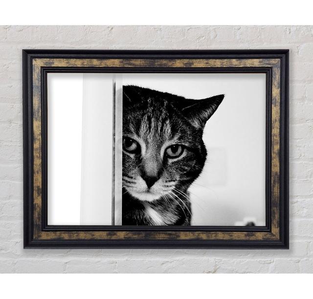 Cat Beauty - Single Picture Frame Art Prints Bright Star Size: 29.7cm H x 42cm W on Productcaster.