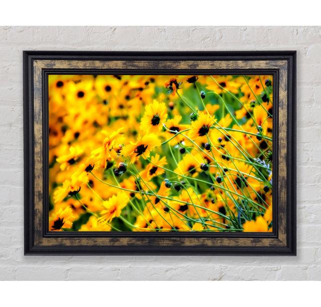 Very Yellow - Print Latitude Run Size: 21cm H x 29.7cm W x 8cm D, Format: Antique Silver Framed Paper on Productcaster.