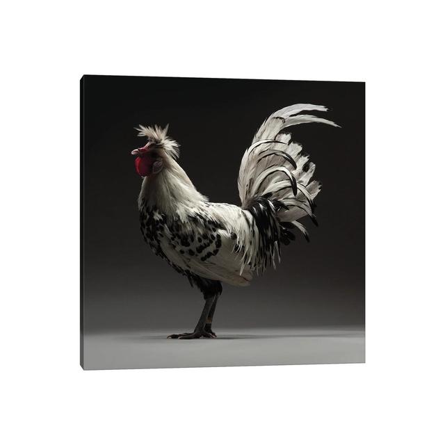 Appenzeller Tufted - Wrapped Canvas Photograph Brambly Cottage Size: 30.48cm H x 30.48cm W x 1.91cm D on Productcaster.