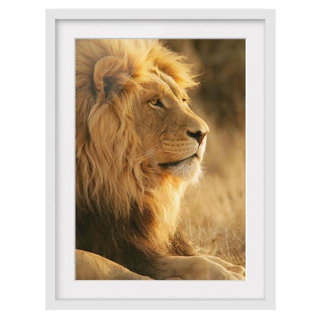 Lion King - Picture Frame Photograph Print on Paper East Urban Home Frame Option: Matt white, Size: 70cm H x 50cm W on Productcaster.