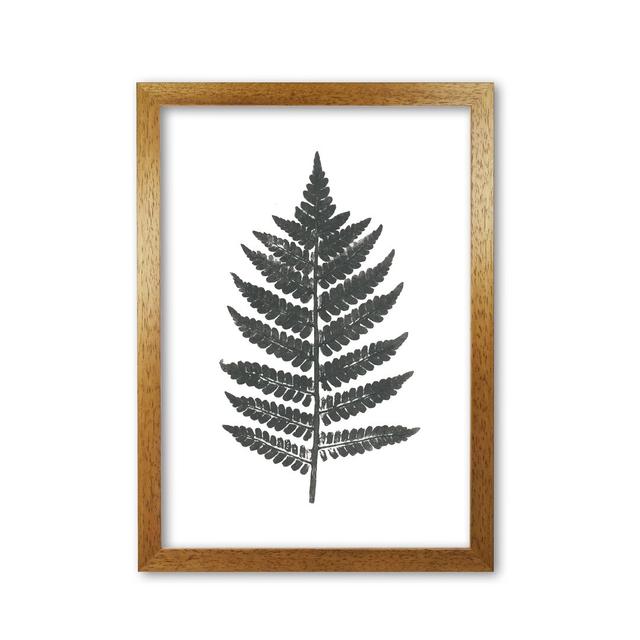 Vintage Fern - Picture Frame Photograph Print on Paper East Urban Home Format: Honey Oak Frame, Size: 85 cm H x 60 cm W x 5 cm D on Productcaster.