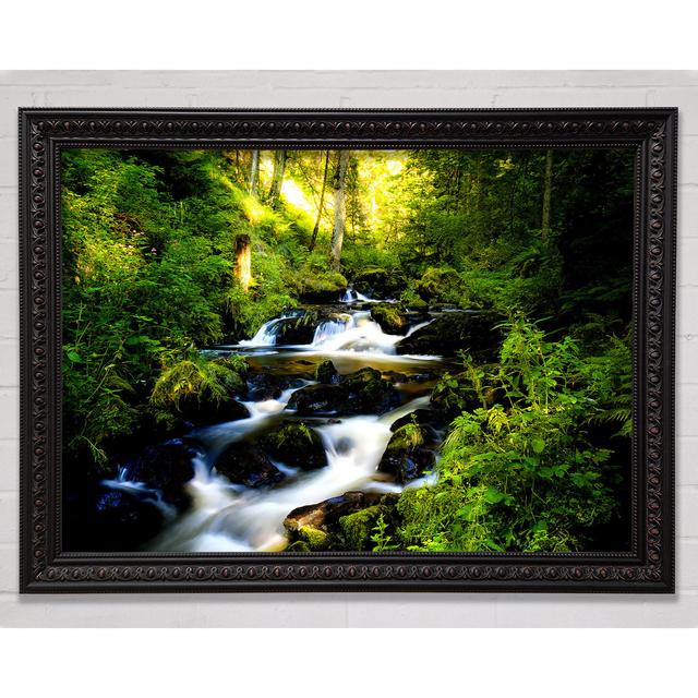 Silver Forest In Germany - Single Picture Frame Art Prints Bright Star Size: 21cm H x 29.7cm W x 3cm D on Productcaster.