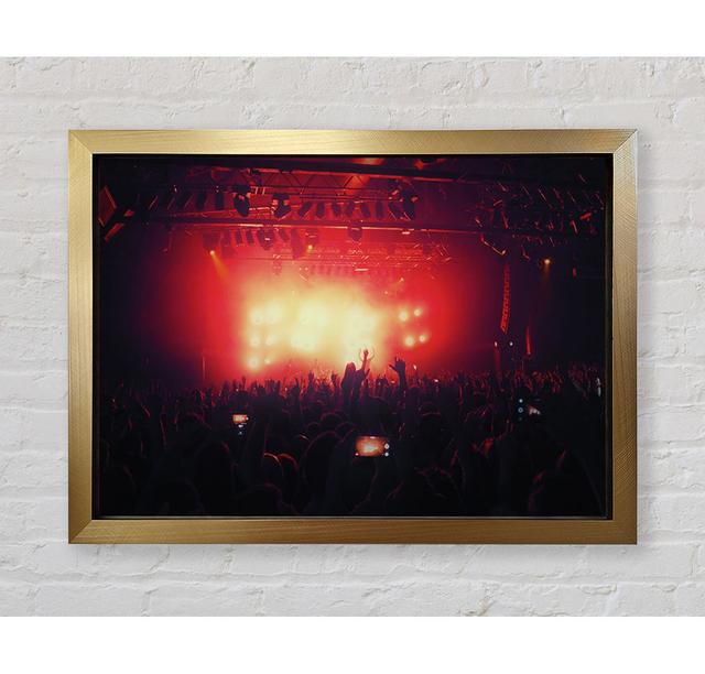 Going Wild - Single Picture Frame Art Prints Bright Star Size: 59.7cm H x 84.1cm W x 3.4cm D on Productcaster.