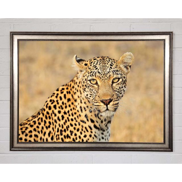 Stunning Leopard Framed Print Brayden Studio Size: 21cm H x 29.7cm W on Productcaster.