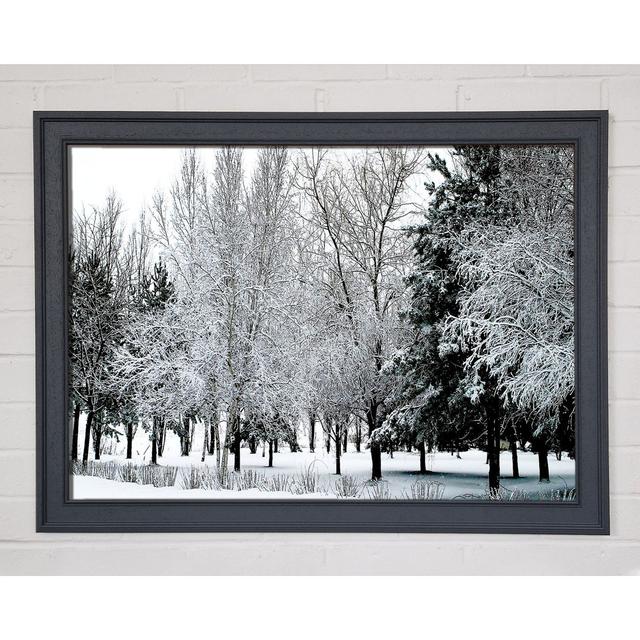 Single Picture Frame Art Prints Union Rustic Size: 21cm H x 29.7cm W on Productcaster.