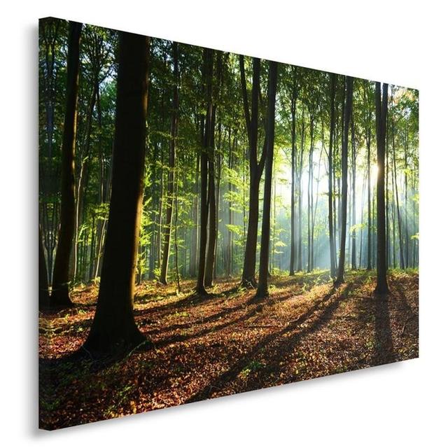 Leinwandbild Rays of the Sun in the Forest ModernMoments Größe: 50 cm H x 70 cm B on Productcaster.