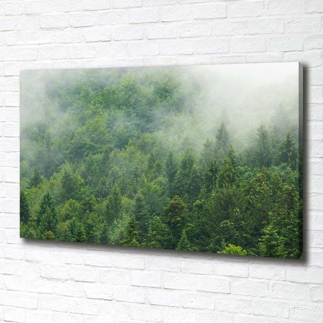 Mysteriöser Wald - Kunstdrucke auf Leinwand Union Rustic on Productcaster.