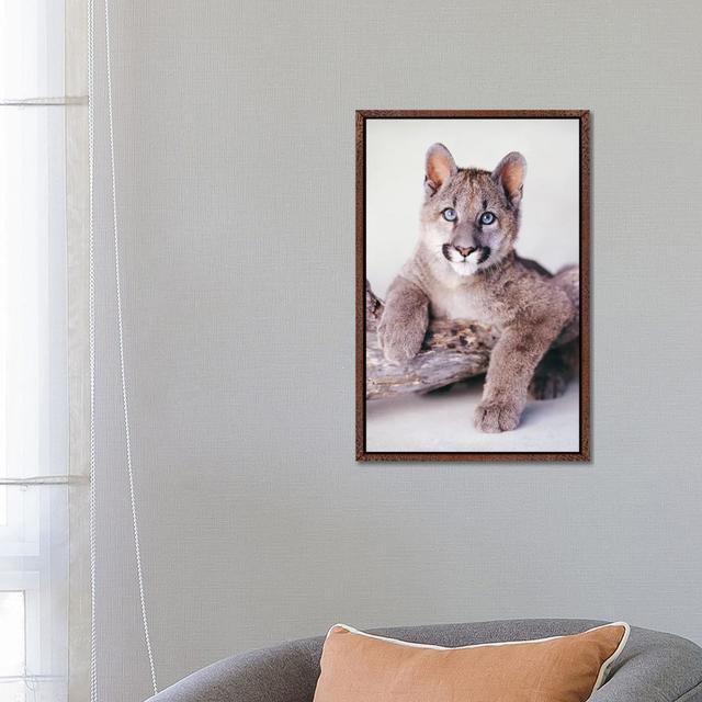 Kota by Rachael Hale - Gallery-Wrapped Canvas Giclée on Canvas Ebern Designs Format: Classic Wood Floated Frame, Size: 66.04cm H x 45.72cm W x 3.81cm on Productcaster.