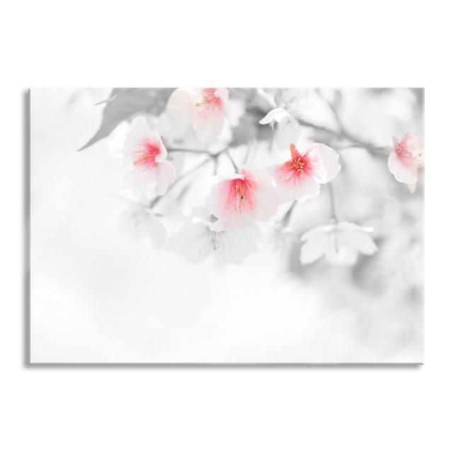 Beautiful Cherry Blossoms - Unframed Graphic Art on Glass Brayden Studio Size: 60cm H x 80cm W x 0.4cm D on Productcaster.