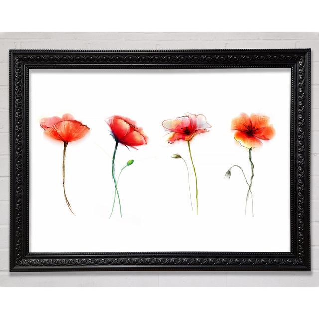 Single Picture Frame Art Prints Bright Star Size: 29.7cm H x 42cm W on Productcaster.