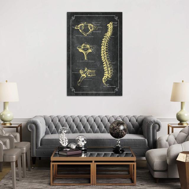 Bones Of The Spine by ChartSmartDecor - Print on Canvas East Urban Home Size: 101.6cm H x 66.04cm W x 3.81cm D, Frame Option: No Frame on Productcaster.