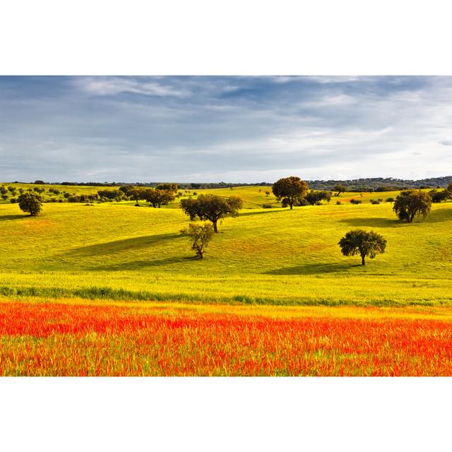 Typical Landscape of Alentejo by Carpeira - Wrapped Canvas Photograph 17 Stories Size: 81cm H x 122cm W on Productcaster.