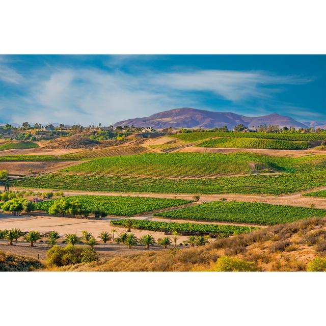 Temecula Valley by Patricia Elaine Thomas - Wrapped Canvas Art Prints Alpen Home Size: 60cm H x 90cm W x 1.8cm D on Productcaster.