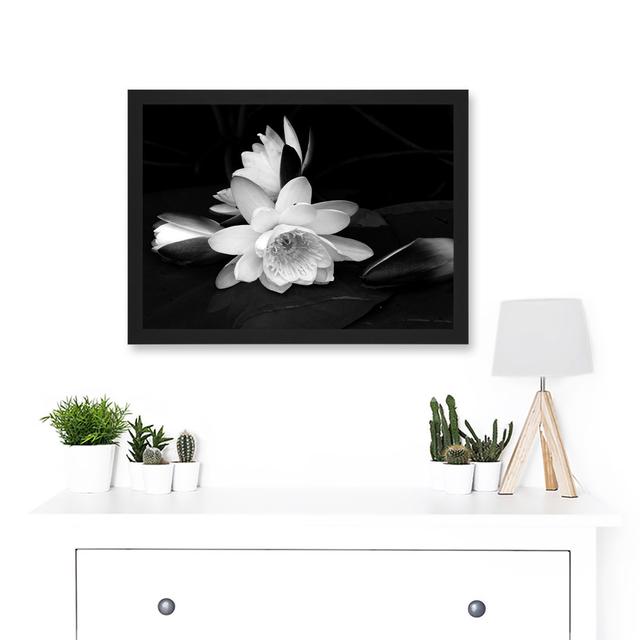 White Lilly Flower Bloom - Single Picture Frame Art Prints 17 Stories on Productcaster.