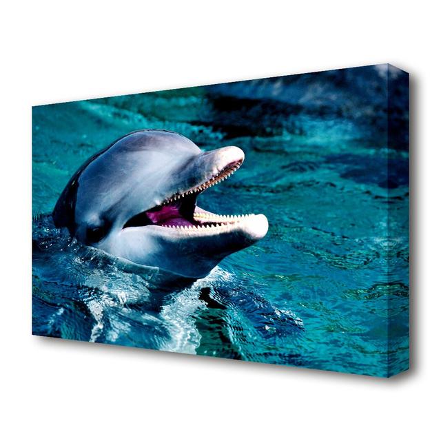 'Dolphins Call Wildlife' - Wrapped Canvas Photograph Print East Urban Home Size: 66 cm H x 101.6 cm W x 4.4 cm D on Productcaster.