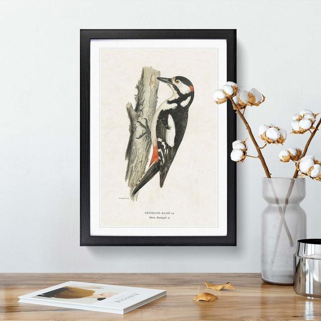 The Great Spotted Woodpecker by Von Wright - Picture Frame Painting Print East Urban Home Size: 36cm H x 27cm W x 2cm D, Frame Option: Black Framed on Productcaster.