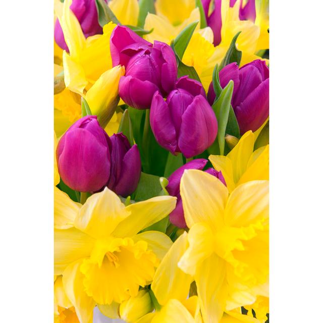 Tulips And Daffodils - Wrapped Canvas Print Marlow Home Co. Size: 91cm H x 61cm W on Productcaster.