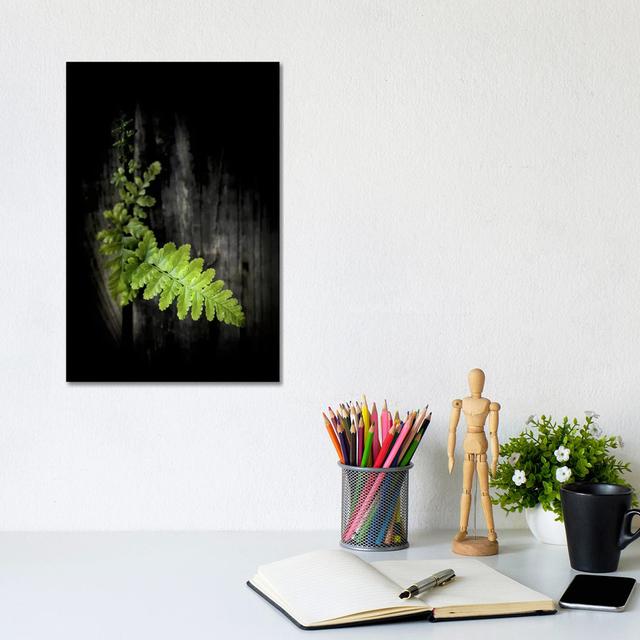 Green Power - Wrapped Canvas Photograph Latitude Run Size: 30.48cm H x 20.32cm W x 1.91cm D on Productcaster.