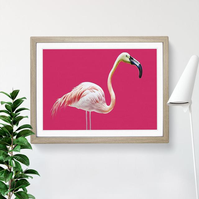 Tranquil Flamingo - Picture Frame Graphic Art Bay Isle Home Frame Colour: Oak Framed, Size: 34cm H x 46cm W x 2cm D on Productcaster.