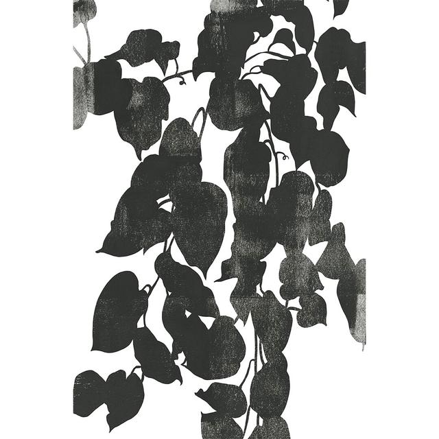 Pothos Silhouette II by Emma Caroline - Wrapped Canvas Painting August Grove Size: 122cm H x 81cm W x 3.8cm D on Productcaster.