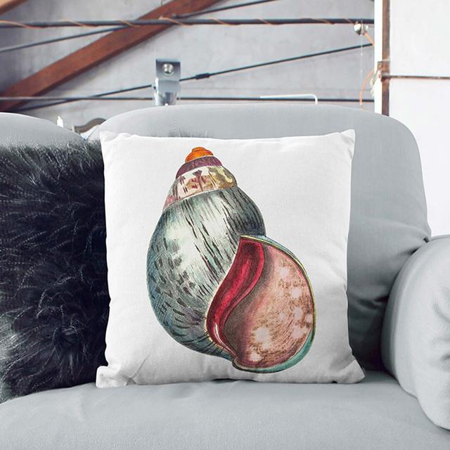 Colourful Seashell by George Shaw Cushion with Filling East Urban Home Size: 40cm H x 40cm W x 15cm D, Backing Colour: Stone on Productcaster.