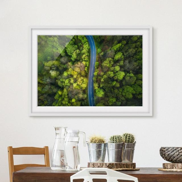 Aerial View - Asphalt Road in Forest - Picture Frame Photograph Union Rustic Size: 30cm H x 40cm W x 2cm D, Frame Option: White Framed on Productcaster.