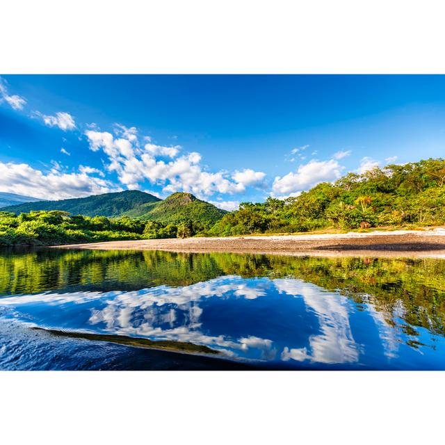 Tranquil Waters On A River In The Amazon State Venezuela by Apomares - No Frame Print on Canvas Alpen Home Size: 81cm H x 122cm W on Productcaster.