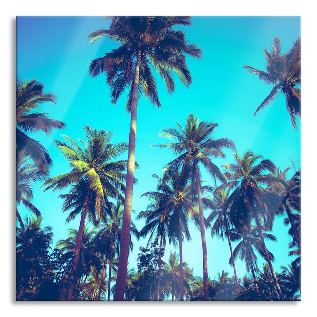 Tropical Palms - Unframed Photograph on Glass Bay Isle Home Size: 70cm H x 70cm W x 0.4cm D on Productcaster.