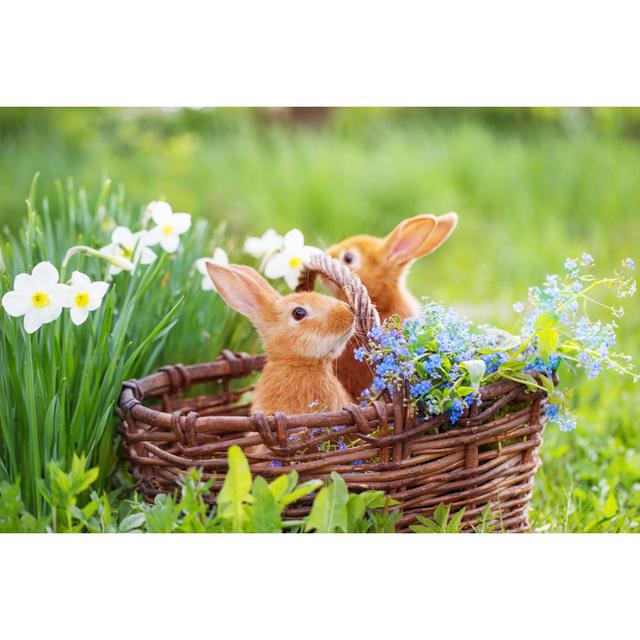 Red Rabbits Outdoor - Wrapped Canvas Photograph August Grove Size: 51cm H x 76cm W on Productcaster.