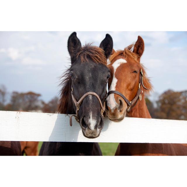 Playful Thoroughbred Racehorses - Wrapped Canvas Art Prints Natur Pur Size: 20cm H x 30cm W x 3.8cm D on Productcaster.