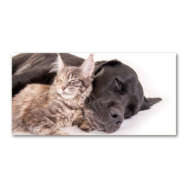 Dog with a Cat - Unframed Art Prints on Canvas Latitude Run on Productcaster.