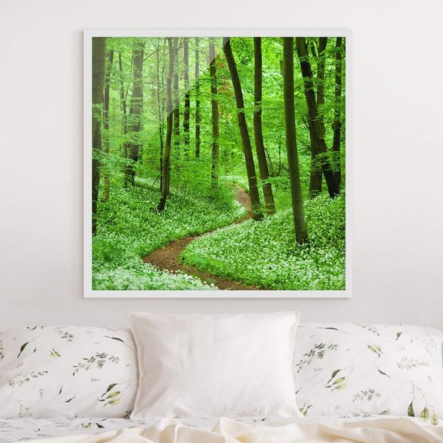 Romantic Forest Path - Picture Frame Graphic Art Union Rustic Frame Option: White Framed, Size: 70cm H x 70cm W x 2cm D on Productcaster.