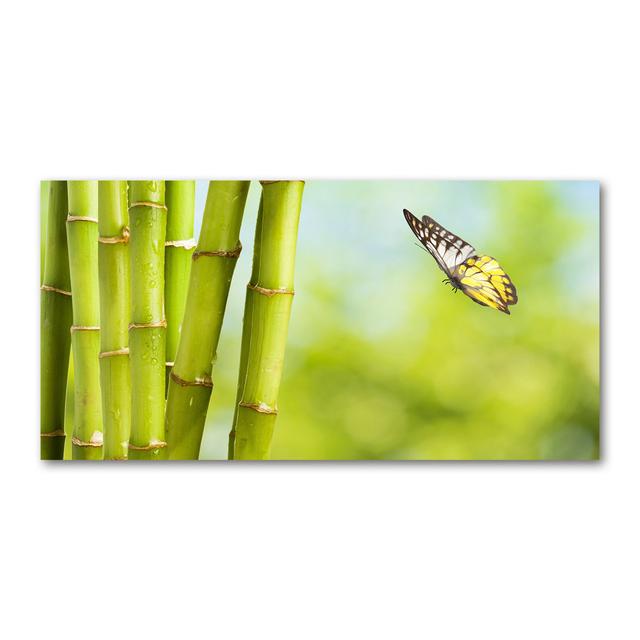 Bambus und Schmetterling - Kunstdrucke auf Leinwand - Wrapped Canvas Sansibar Home on Productcaster.