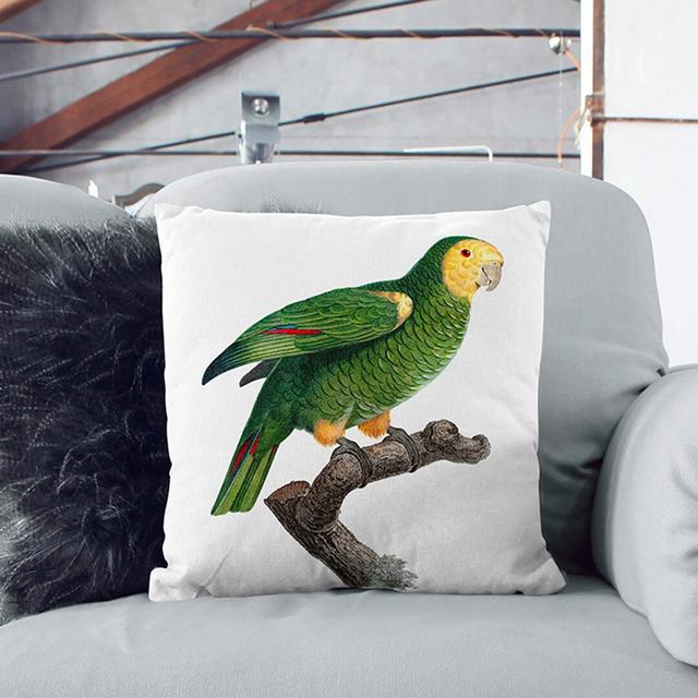 Shouldered Amazon Parrot by F. Levaillant Cushion with Filling East Urban Home Size: 40 x 40 cm, Backing Colour: Stone on Productcaster.