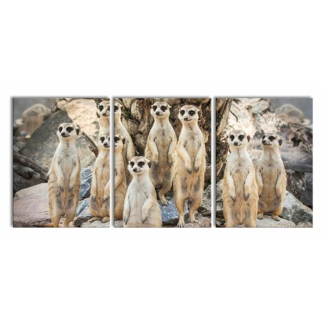 'Funny Meerkat' 3 Piece Photographic Art Print Set on Wrapped Canvas East Urban Home Size: 80cm H x 180cm W on Productcaster.