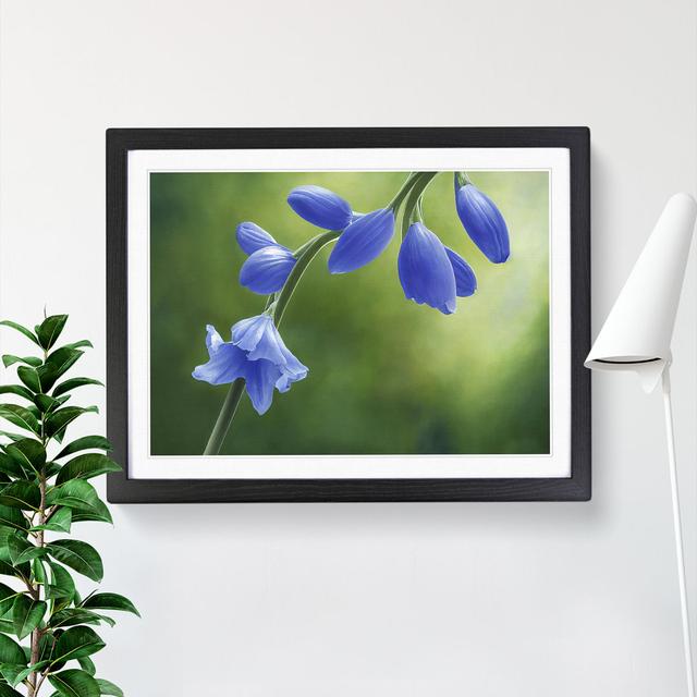 Pretty Flowers - Picture Frame Graphic Art 17 Stories Frame Colour: Black Framed, Size: 25cm H x 34cm W x 2cm D on Productcaster.