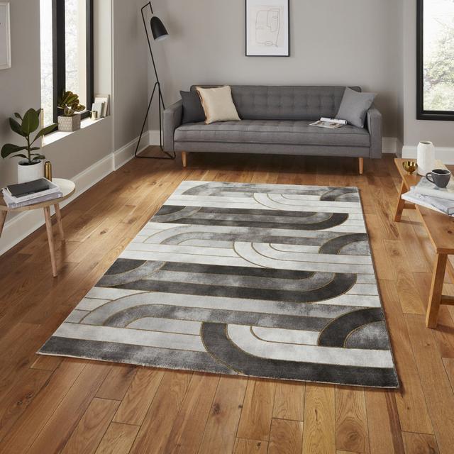 Machine Woven Grey/Gold Rug Canora Grey Rug Size: Rectangle 160 x 220cm on Productcaster.