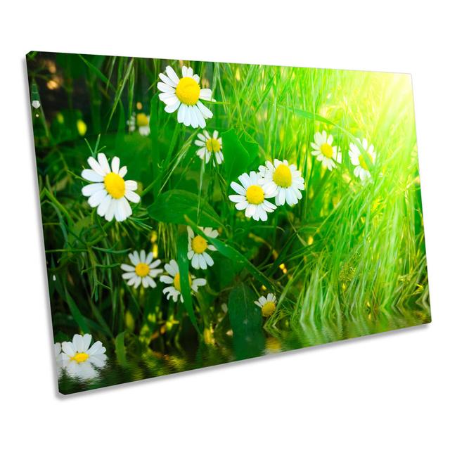 Daisy Flower Floral Sunshine CANVAS WALL ART Picture Print Ebern Designs Size: 50.8cm H x 76.2cm W on Productcaster.