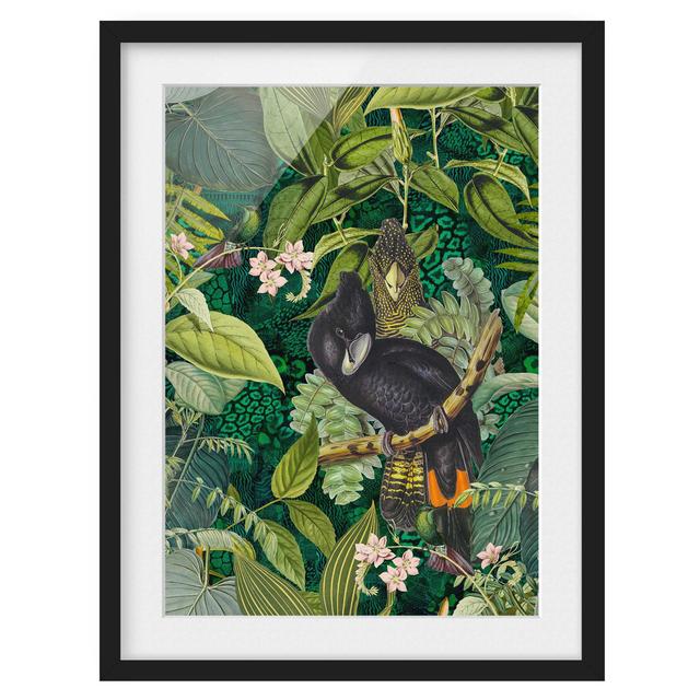 Colourful Collage - Cockatoos in the Jungle - Picture Frame Graphic Art Bay Isle Home Frame Option: Black, Size: 70cm H x 50cm W x 2cm D on Productcaster.