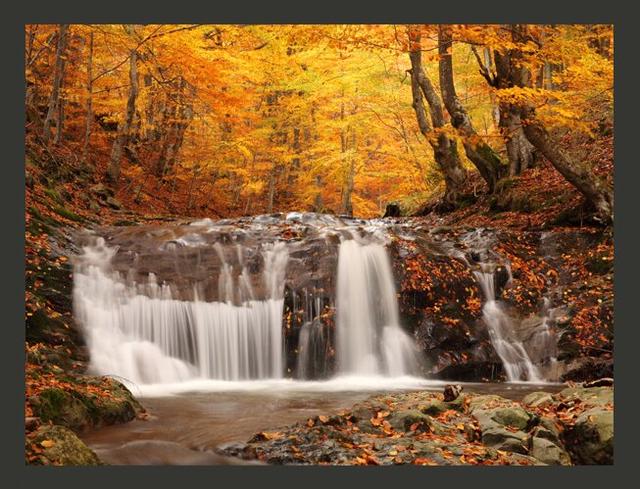 Autumn Landscape: Waterfall in Forest 2.70m x 350cm Wallpaper East Urban Home Size: 400 cm x 309 cm on Productcaster.